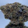death bubba strain indica weed available at kamikazi same day weed delivery and mom canada
