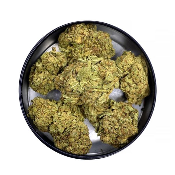 sour diesel sativa strain weed delivery etobicoke weed delivery scarbrough kamikazi