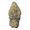 strawberry cough strain is a sativa dominant hybrid weed. available for weed delivery in toronto and mail order marijuana