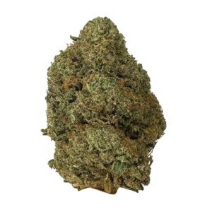 bc kush strain is an indica weed available for weed delivery and mail order marijuana