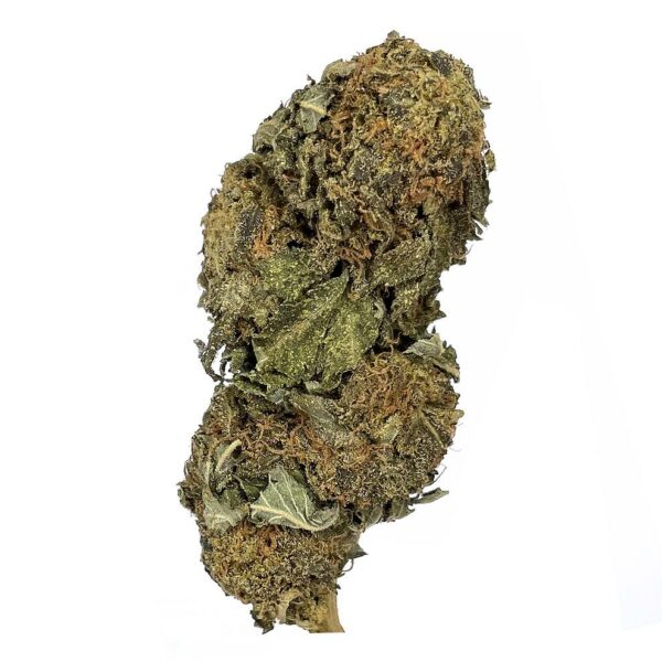 Blueberry Indica strain cheap Oz deal bulk weed available at kamikazi.cc weed delivery toronto