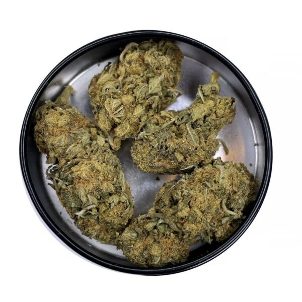 Blueberry Indica strain cheap Oz deal bulk weed available at kamikazi.cc weed delivery toronto