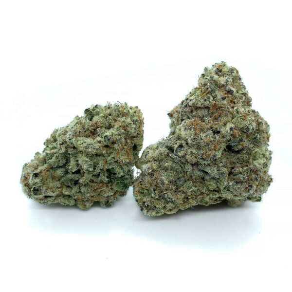 Girl Scout COOKIES HYBRID STRAIN KAMIKAZI WEED DELIVERY toronto
