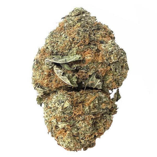 Girl Scout COOKIES HYBRID STRAIN KAMIKAZI WEED DELIVERY toronto