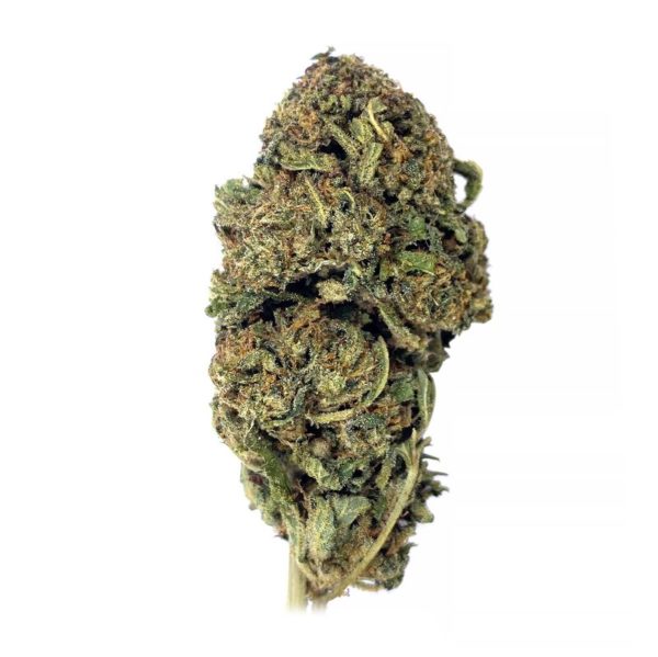 king kush strain is an indica weed available for weed delivery and mail order marijuana