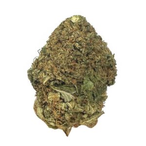 LSD AKA lemon saour diesel is a sativa dominant weed available for weed delivery and mail order Lemon OG Strain Review: A Citrus-Powered Sativa Hybrid That Delivers Uplifting Highs Introduction: Why Lemon OG is a Top Choice for Sativa Lovers If you're a cannabis enthusiast who enjoys uplifting cerebral effects with a burst of energy and creativity, look no further than Lemon OG. This sativa-dominant hybrid offers a perfect blend of mental stimulation and light body relaxation, making it a versatile option for daytime use. Known for its zesty lemon aroma, powerful THC content, and wide-ranging benefits, Lemon OG has become a favorite among cannabis connoisseurs. In this blog, we’ll dive into the details of Lemon OG, answering frequently asked questions, exploring its unique characteristics, and explaining why it’s a standout strain in today’s cannabis market. What Makes Lemon OG Unique? Lemon OG, also referred to as Lemon OG Kush, is a sativa-dominant hybrid with THC levels ranging from 17% to 24%. A cross between Las Vegas Lemon Skunk and The OG #18, it delivers an energizing mental buzz coupled with subtle relaxation. Its citrus-forward flavor and uplifting effects make it ideal for creative tasks, social gatherings, and tackling a busy day. Aroma and Flavor: A Zesty Citrus Delight Lemon OG captivates the senses with its refreshing lemon aroma, complemented by earthy and skunky undertones. Its flavor is equally invigorating, offering a blend of zesty citrus, subtle sweetness, and a hint of herbal spice. Whether smoked or vaped, Lemon OG provides a smooth and flavorful experience. Effects: Energetic and Focused Highs As a sativa-dominant hybrid, Lemon OG is perfect for users seeking an energetic yet balanced experience. Its effects are quick-hitting, beginning with a euphoric head high that enhances mood, focus, and creativity. As the high progresses, users may notice a gentle body relaxation that keeps them grounded without inducing sedation. Key Effects: Euphoria: Lifts the mood and enhances positivity. Focus: Sharpens mental clarity, making it great for tasks and problem-solving. Creativity: Sparks innovative ideas and artistic inspiration. Relaxation: Soothes physical tension without overwhelming drowsiness. Medical Benefits: A Therapeutic Citrus Companion Lemon OG isn’t just about recreation; its well-rounded effects make it a popular choice for medicinal use. Its high THC content and balanced profile provide relief for a variety of conditions. Common Uses: Stress and Anxiety Relief: The uplifting high helps reduce stress and promote relaxation. Pain Management: Effective for alleviating headaches, muscle pain, and joint discomfort. Focus and ADHD Support: Enhances concentration, making it helpful for individuals with ADHD. Appetite Stimulation: Ideal for those experiencing appetite loss due to medical treatments. Mood Disorders: Improves symptoms of depression with its euphoric effects. How Does Lemon OG Compare to Other Sativa Strains? Lemon OG stands out from other citrusy sativas like Lemon Haze or Super Lemon OG due to its unique hybrid balance. While it provides the energy and creativity associated with sativas, its mild indica undertones offer a touch of relaxation that prevents overstimulation. FAQs About Lemon OG 1. Is Lemon OG beginner-friendly? Yes, but beginners should start with small doses to gauge its effects due to its high THC levels. 2. Can Lemon OG be used during the day? Absolutely! Its energizing effects make it perfect for daytime use, especially for tasks requiring focus and creativity. 3. Does Lemon OG have any side effects? Like most strains, common side effects include dry mouth and dry eyes. In rare cases, overconsumption may lead to mild anxiety or dizziness. 4. How should Lemon OG be consumed? Lemon OG is versatile and can be smoked, vaped, or consumed as an edible for different intensities and durations of effects. 5. What’s the best pairing for Lemon OG? Pair it with light activities like yoga, painting, or brainstorming sessions for the best experience. Cultivation Insights: Growing Lemon OG Lemon OG is a relatively easy strain to cultivate, making it a favorite among growers. Its compact size and resilience make it suitable for both indoor and outdoor growth. Flowering Time: 7-9 weeks. Yields: Moderate, with dense, frosty buds. Preferred Climate: Thrives in mild to warm climates. Pro Tip: Use odor control measures during cultivation as Lemon OG emits a strong citrus aroma that can be detected from afar. Why Lemon OG Deserves a Spot in Your Rotation Lemon OG is more than just a strain—it’s an experience. Its energizing effects, tangy flavor, and therapeutic benefits make it an excellent addition to any cannabis lineup. Whether you’re looking to elevate your creativity, manage stress, or enjoy a flavorful session, Lemon OG checks all the boxes.