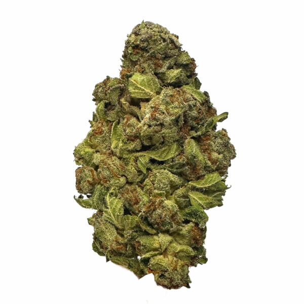 King Kush strain close-up — tangy grape aroma