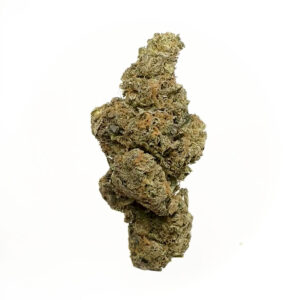 "Mimosa cannabis buds with vibrant citrus aroma and dense trichomes"