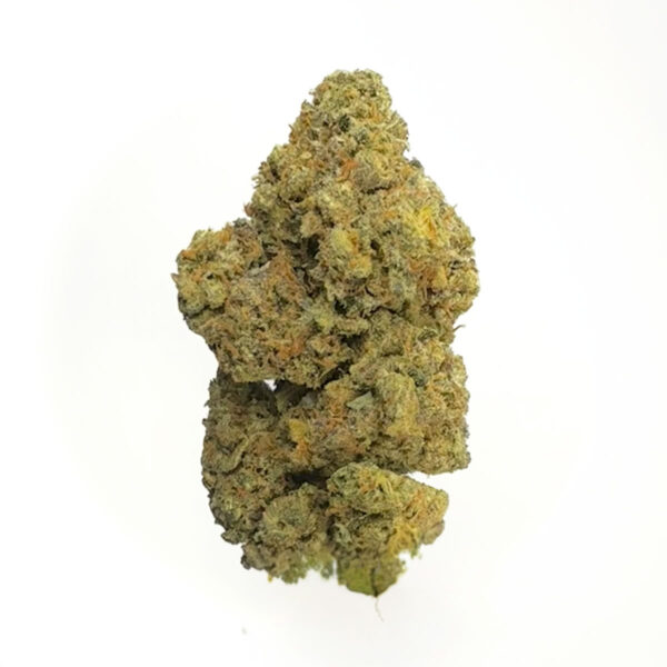 "Sativa-dominant Mimosa flower ideal for energy and focus"