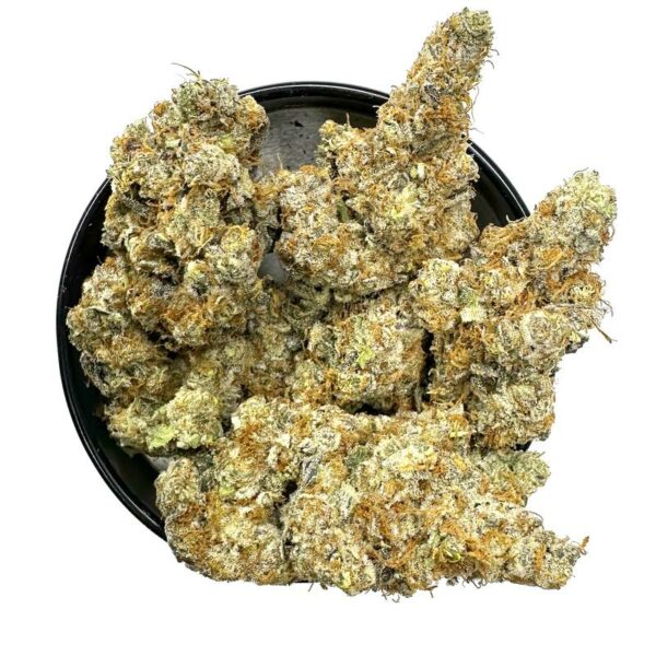 Garlic Breath Strain is an indica dominant hybrid. available for weed delivery in toronto and canada wide mail order marijuana