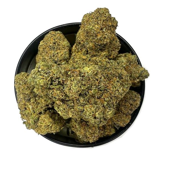 Gelato 45 strain available for online purchase with detailed THC content and terpene profile."