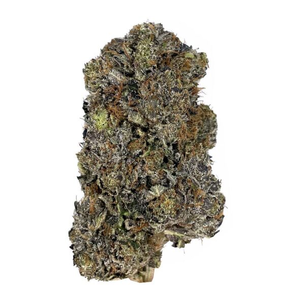 astro pink strain exotic indica weed