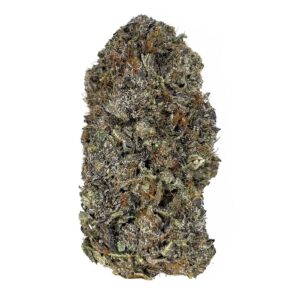 astro pink strain exotic indica weed