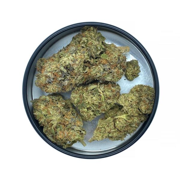 grease monkey strain Hybrid weed available at kamikazi same day weed delivery toronto and weed mail order (MOM CANADA)