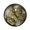 Rotten cherries strain is a sativa dominant weed. available for weed delivery and mom canada