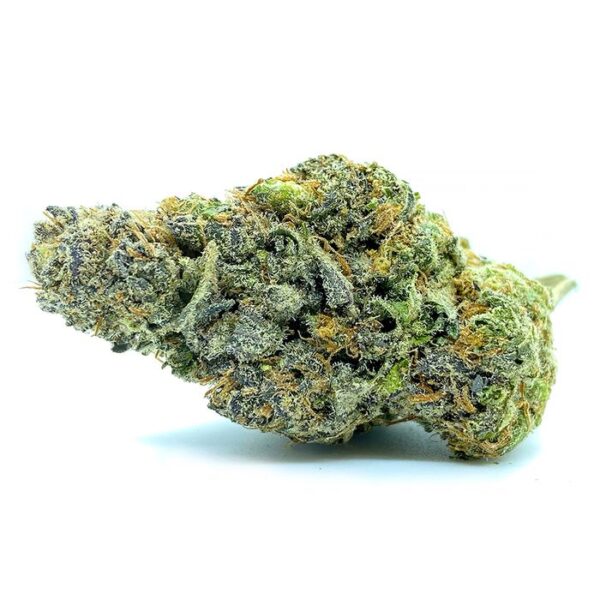 CLUB 69 INDICA STRAIN by kamikazi weed delivery toronto weed delivery scarbrough weed delivery etobicoke
