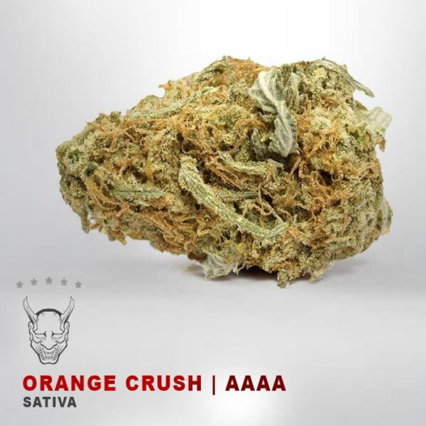orange crush sativa strain weed delivery toronto weed delivery North York
