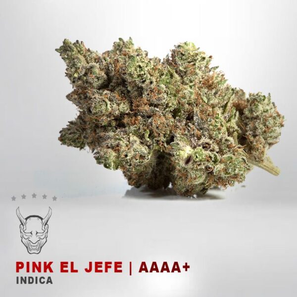 Pink El Jefe INDICA STRAIN KAMIKAZI SAME DAY WEED DELIVERY SCARBROUGH WEED DELIVERY ETOBICOKE