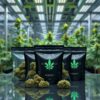 "Mix and match up to 4 strains of weed to create a custom ounce at bulk prices." "Save big on bulk weed with our mix and match cannabis deal, available for same-day delivery in Toronto."
