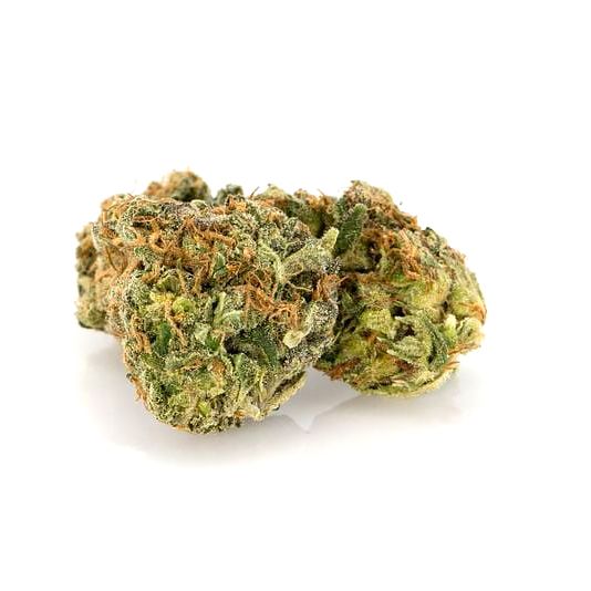 white gold strain indica dominant hybrid available at kamikazi weed delivery
