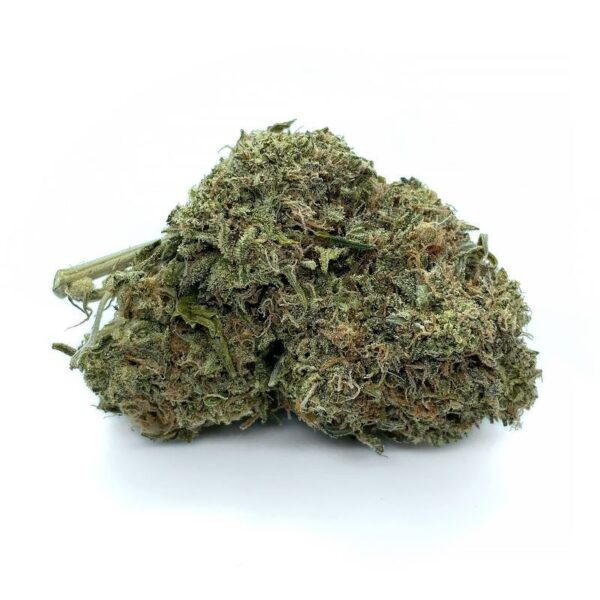 pink cookies hybrid strain available at kamikazi same day weed delivery toronto and mom canada
