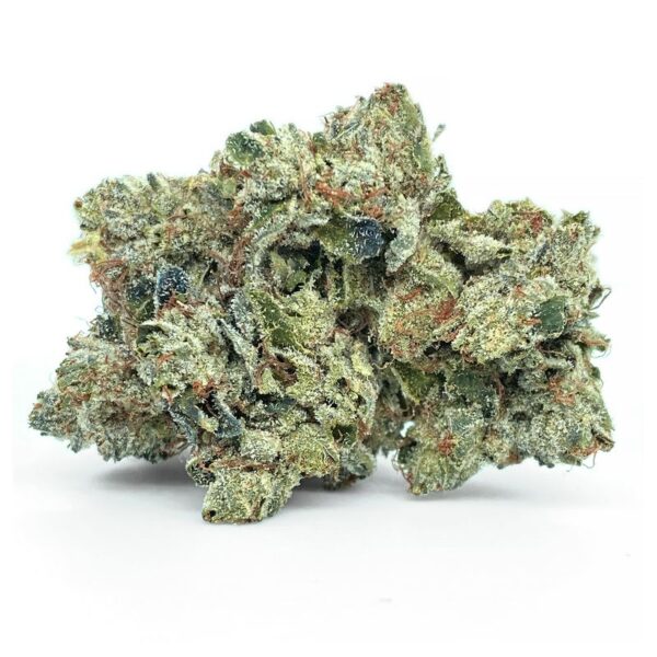 Og shark strain sativa dominant hybrid. available for same day weed delivery toronto and weed mail order canada