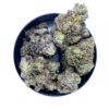 El chapo aka El chapo og strain is an indica dominant hybrid with very high level of THC. available for same day weed delivery and weed mail order in canada