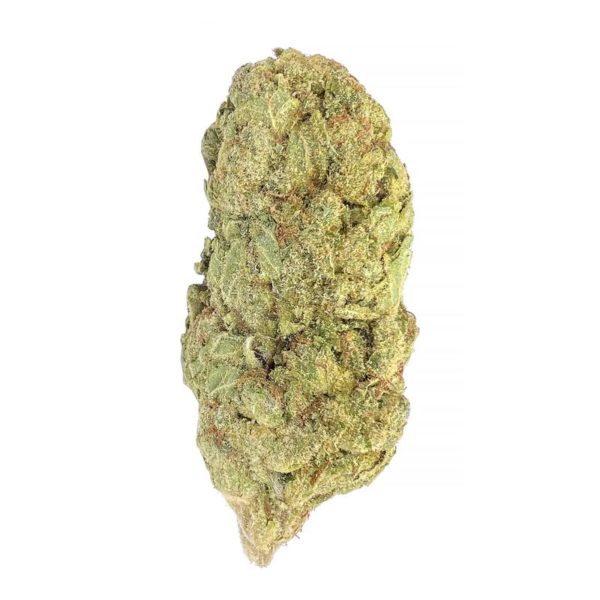 hash plant strain. hash plant is an indica weed. available for weed delivery toronto and mail order marijuana