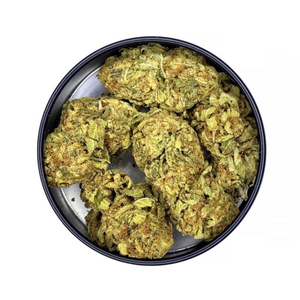 hawaiian skunk strain is a indica dominant hybrid which is available for delivery in Toronto Canada. Hawaiian skunk seed is not available