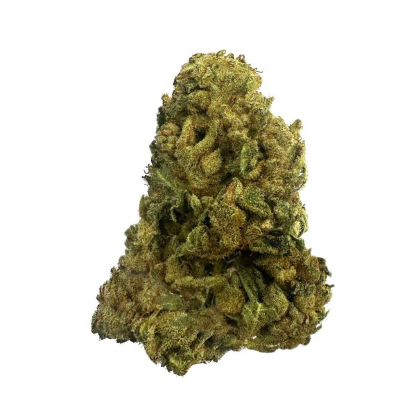 Super Lemon Haze strain showing dense buds with lemony hues. Close-up of Super Lemon Haze with citrusy aroma description. User enjoying Super Lemon Haze with a creative backdrop.