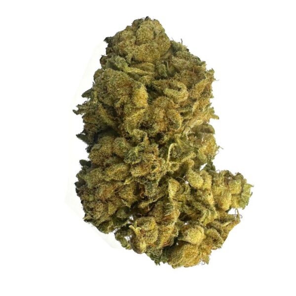 Super Lemon Haze strain showing dense buds with lemony hues. Close-up of Super Lemon Haze with citrusy aroma description. User enjoying Super Lemon Haze with a creative backdrop.