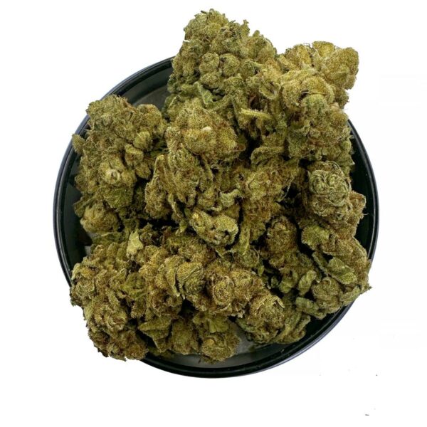 Super Lemon Haze strain showing dense buds with lemony hues. Close-up of Super Lemon Haze with citrusy aroma description. User enjoying Super Lemon Haze with a creative backdrop.