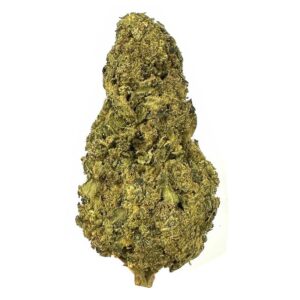 Cherry Pie Kush strain is a sativa dominant weed. available for weed delivery and mail order marijuana (Mom Canada)