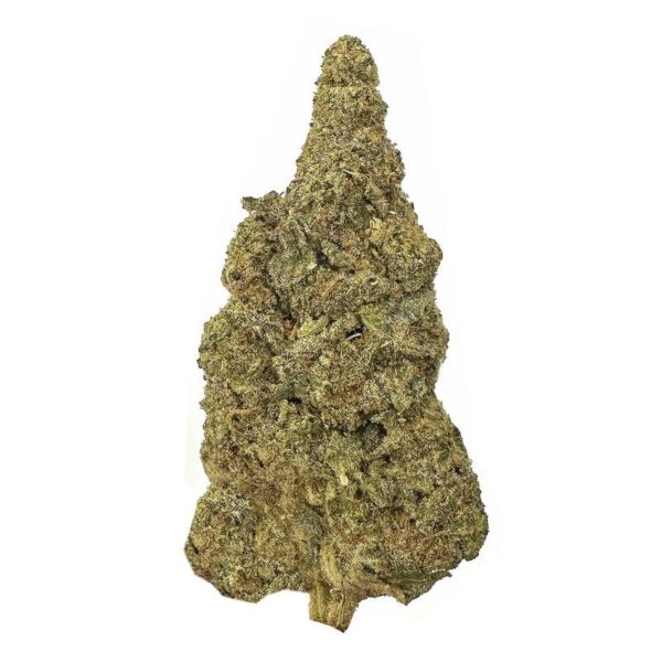 Jet Fuel Gelato strain is a sativa dominant weed. available for weed delivery in toronto and mail order marijuana