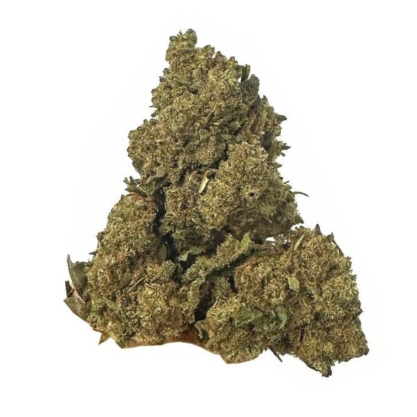 jungle cake strain Aka jungle strain is a hybrid weed. available for weed delivery and mail order marijuana