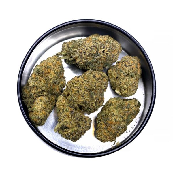 orangeade strain is a sativa weed available for weed delivery north york and weed mail order