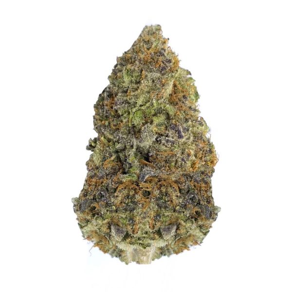 Sweet tea strain is a sativa dominant weed. available for weed delivery toronto and mail order marijuana in canada