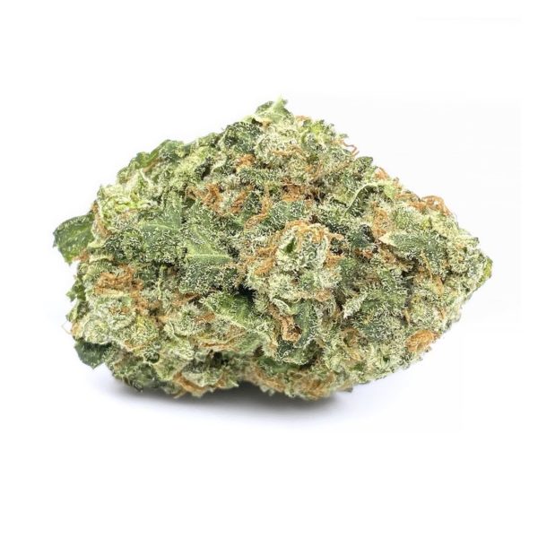 bruce banner strain is a sativa dominant hybrid. available for weed delivery and weed mail order