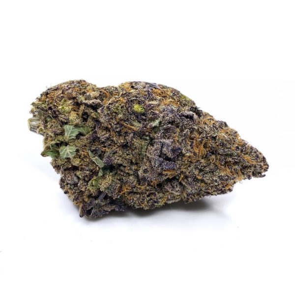 Pineapple fanta strain is a sativa dominant weed. It is available for weed delivery in toronto and mail order marijuana in canada.