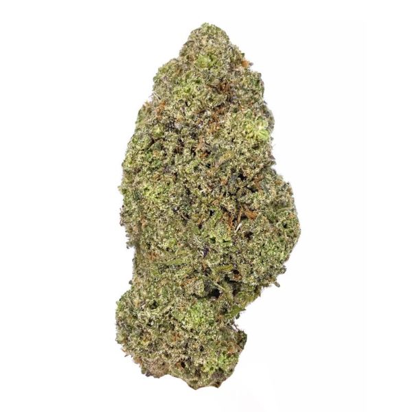 Blue amnesia haze strain is a sativa dominant hybrid available for weed delivery in toronto and mail order marijuana in canada. canada mom