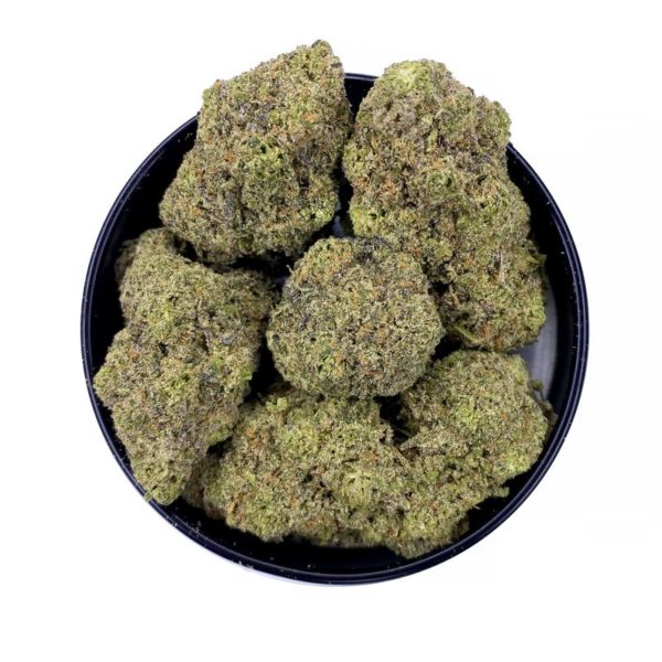 Blue amnesia haze strain is a sativa dominant hybrid available for weed delivery in toronto and mail order marijuana in canada. canada momBlue amnesia haze strain is a sativa dominant hybrid available for weed delivery in toronto and mail order marijuana in canada. canada mom
