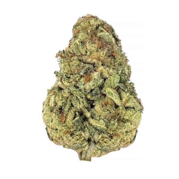 lemon pie strain is a sativa dominant weed. available for weed delivery and mail order weed