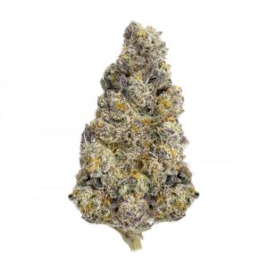 biscotti strain is a indica weed available for weed delivery and mail order marijuana