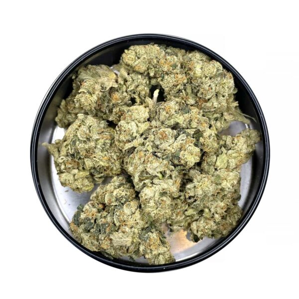 jet fuel gelato is a sativa dominant weed available for weed delivery and mail order marijuana