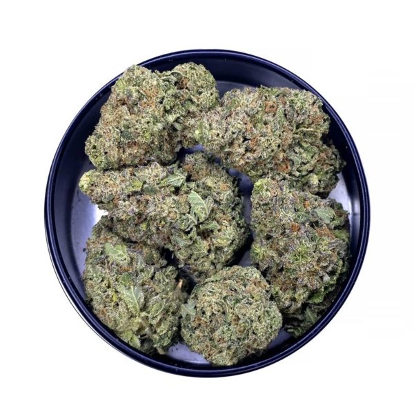 haze trainwreck strain is a sativa weed available for weed delivery in toronto and weed mail order