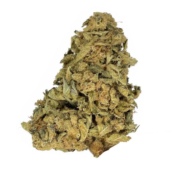 Kush Mints strain is a sativa dominant hybrid available for weed delivery in toronto and mail order marijuana