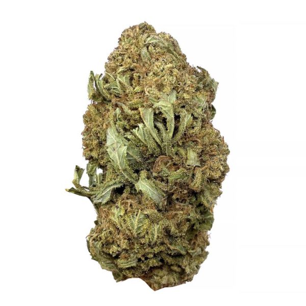 Recon strain is a indica dominant weed available for weed delivery in toronto and mail order marijuana