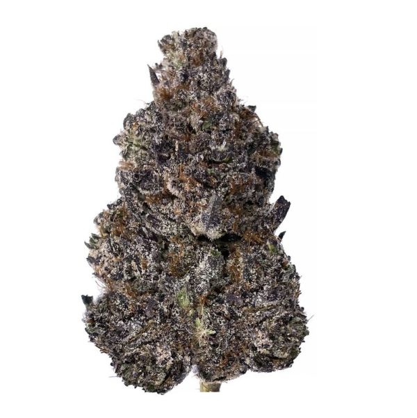 Ghost breath strain is a sativa dominant weed available for weed delivery in markham and scarborough