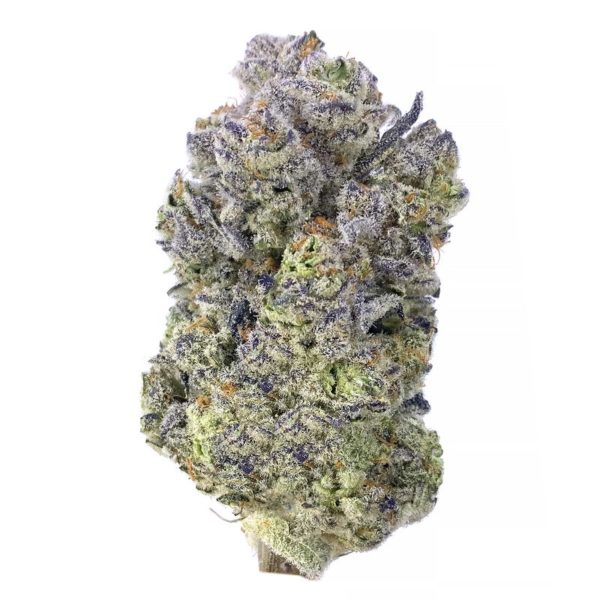sugar cane strain is a sativa dominant weed. available for weed delivery in toronto and mail order marijuana