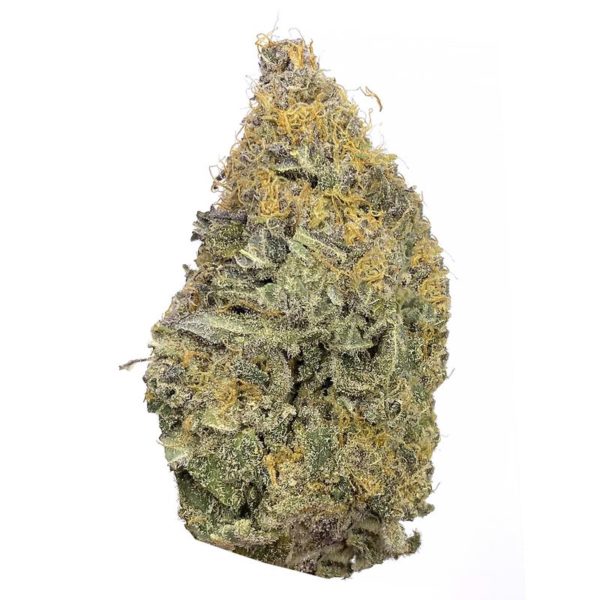 twisted monkey strain is a hybrid weed. available for weed delivery in toronto and mail order marijuana